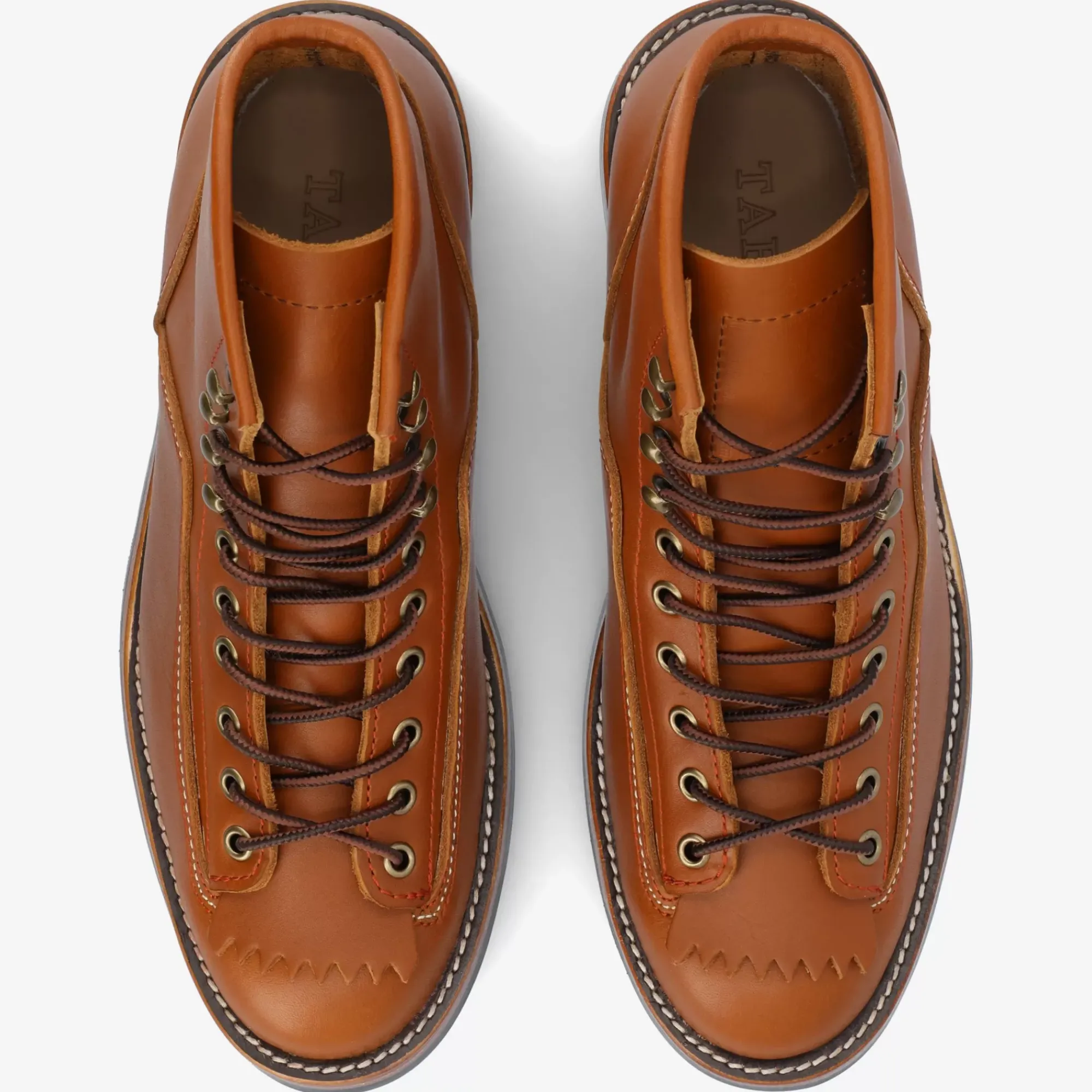 Discount TAFT Model 007 Boot In Honey