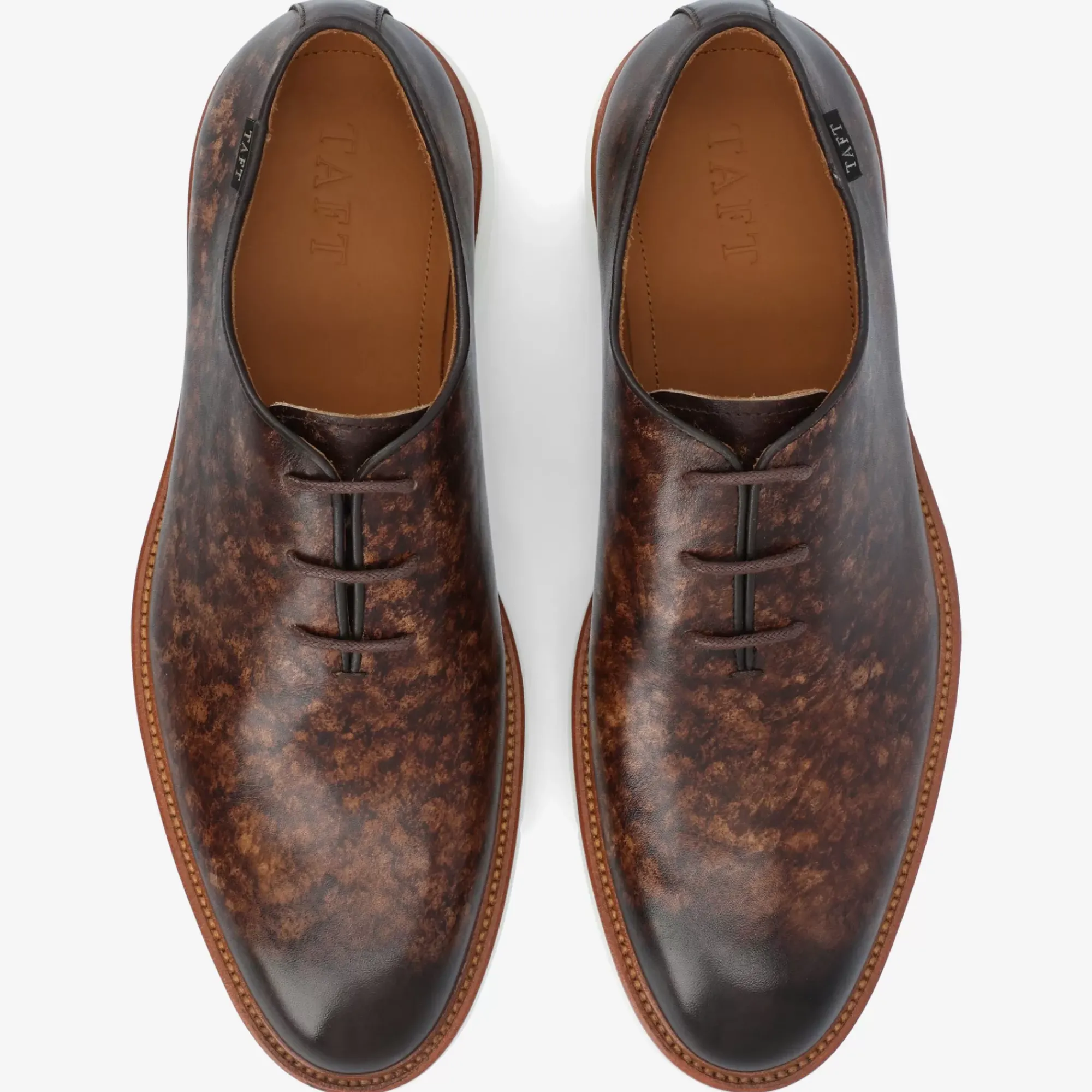 Shop TAFT Model 101 Shoe In Espresso