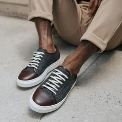 Store TAFT The Jack Sneaker In Grey/Oxblood - Wool Sneakers |